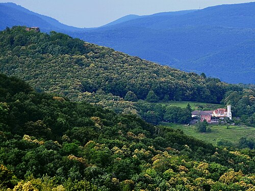 Palatinate Forest Nature Park
